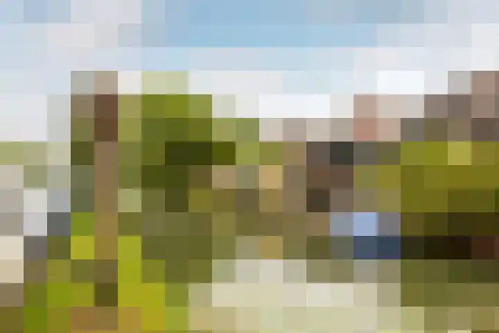 Oude Singel 56 Schoonhoven thumbnail 27