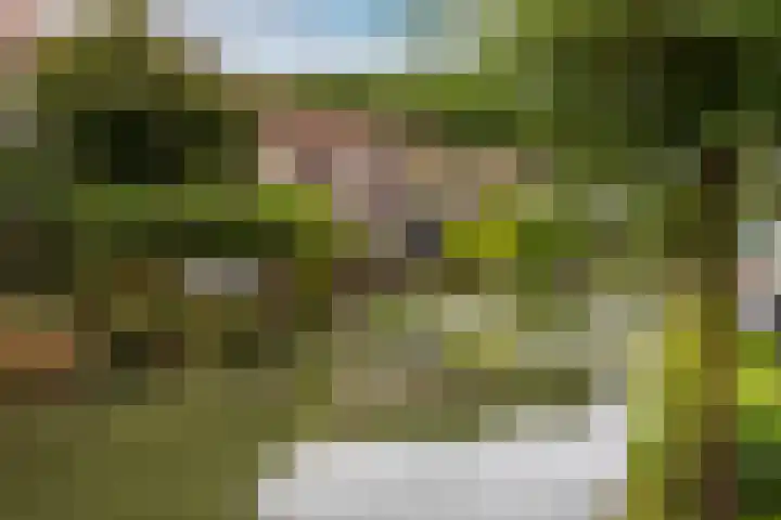 Oude Singel 56 Schoonhoven thumbnail 28