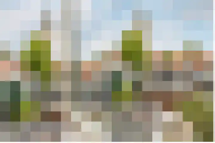 Oude Singel 56 Schoonhoven thumbnail 34