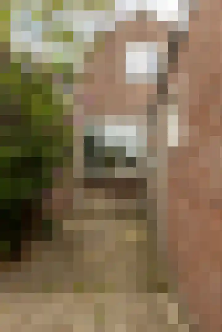 Oude Singel 56 Schoonhoven thumbnail 36