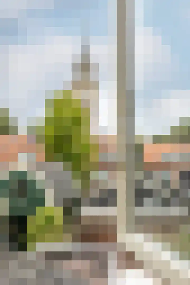 Oude Singel 56 Schoonhoven thumbnail 38