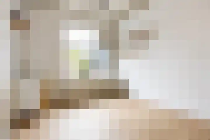 Oude Singel 56 Schoonhoven thumbnail 5