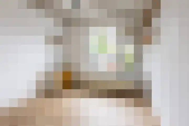 Oude Singel 56 Schoonhoven thumbnail 6