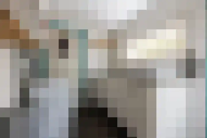 Oude Singel 56 Schoonhoven thumbnail 9