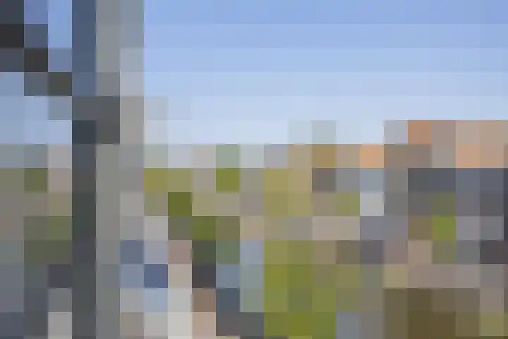 Oude Singel 70 C Leiden thumbnail 11