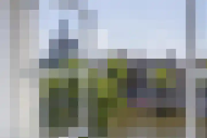 Oude Singel 70 C Leiden thumbnail 14