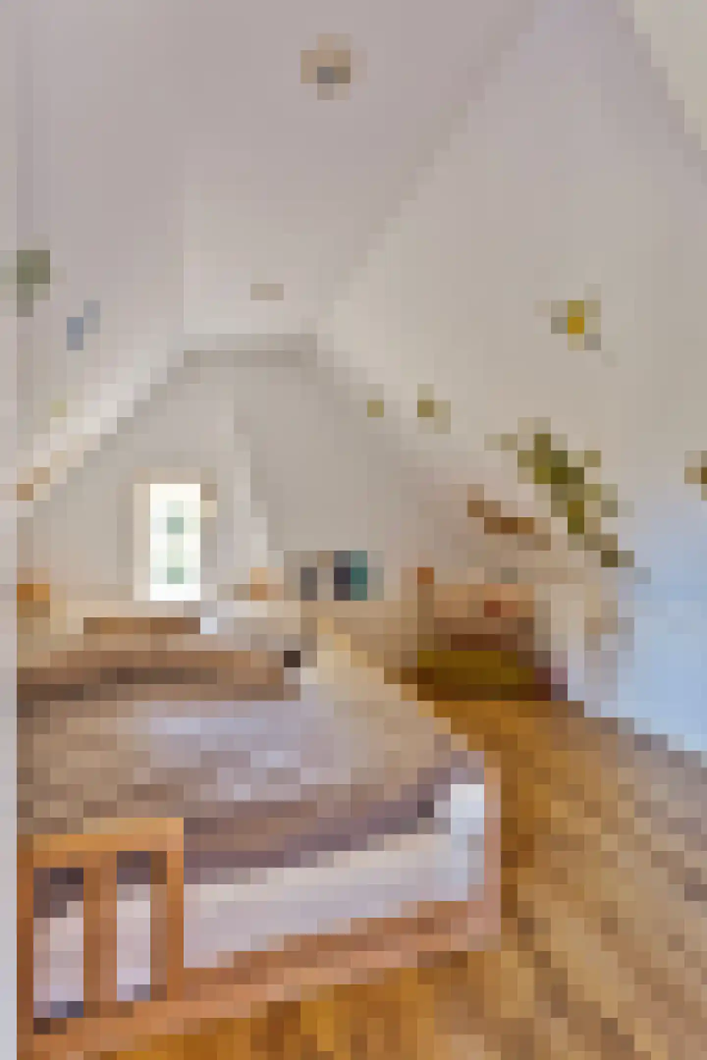 Oude Stee 11 Hoogerheide thumbnail 22