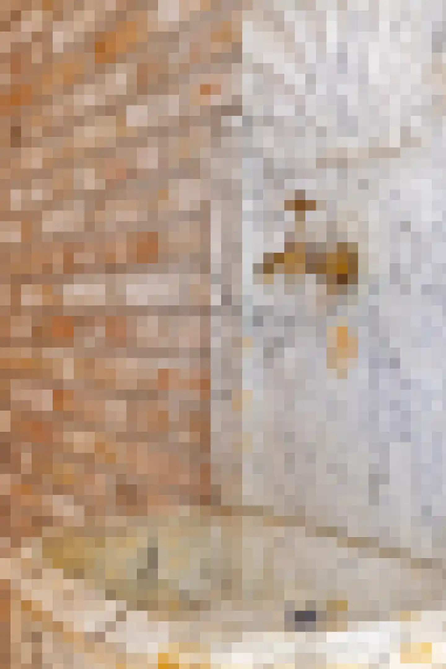Oude Stee 11 Hoogerheide thumbnail 27