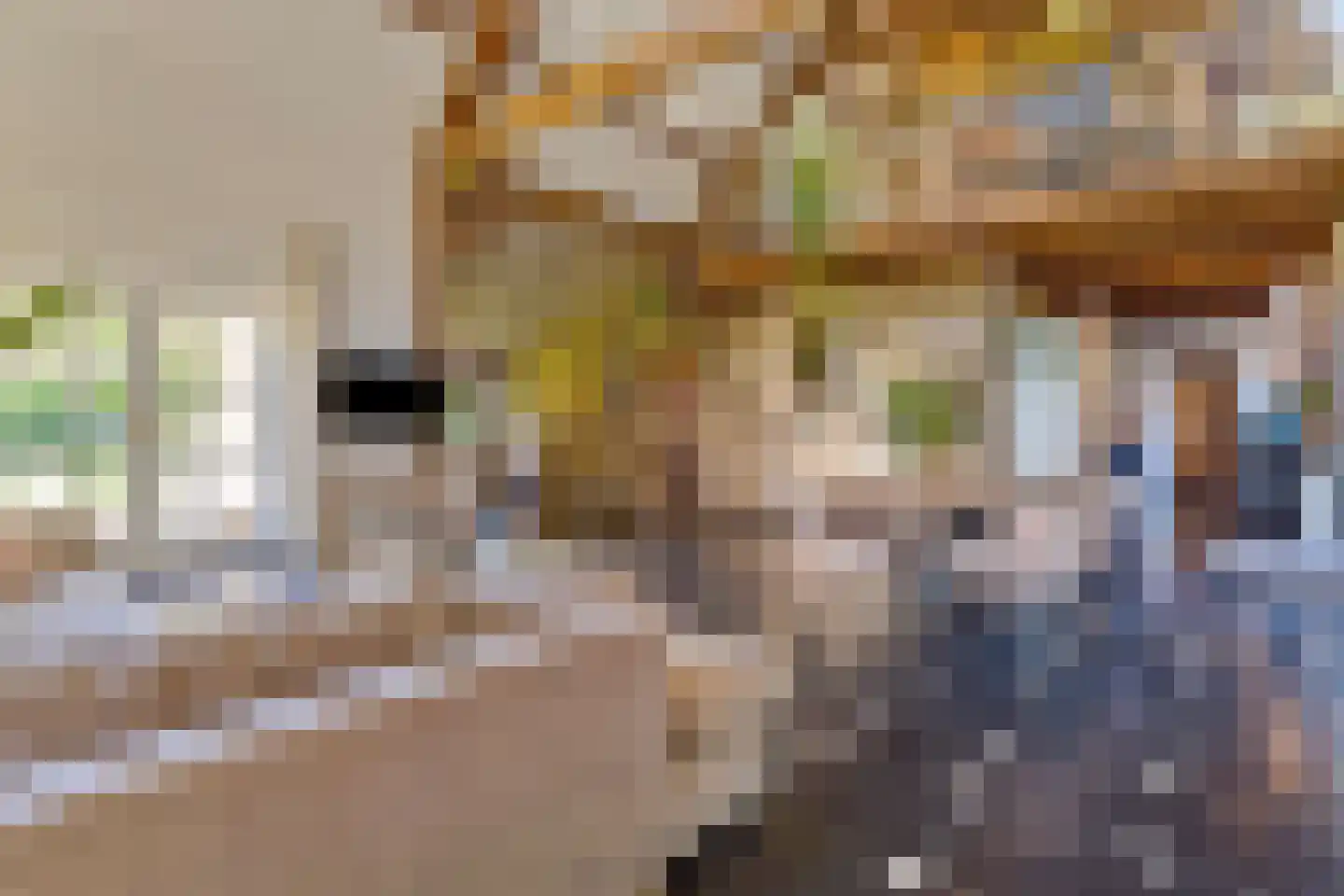 Oude Stee 11 Hoogerheide thumbnail 35