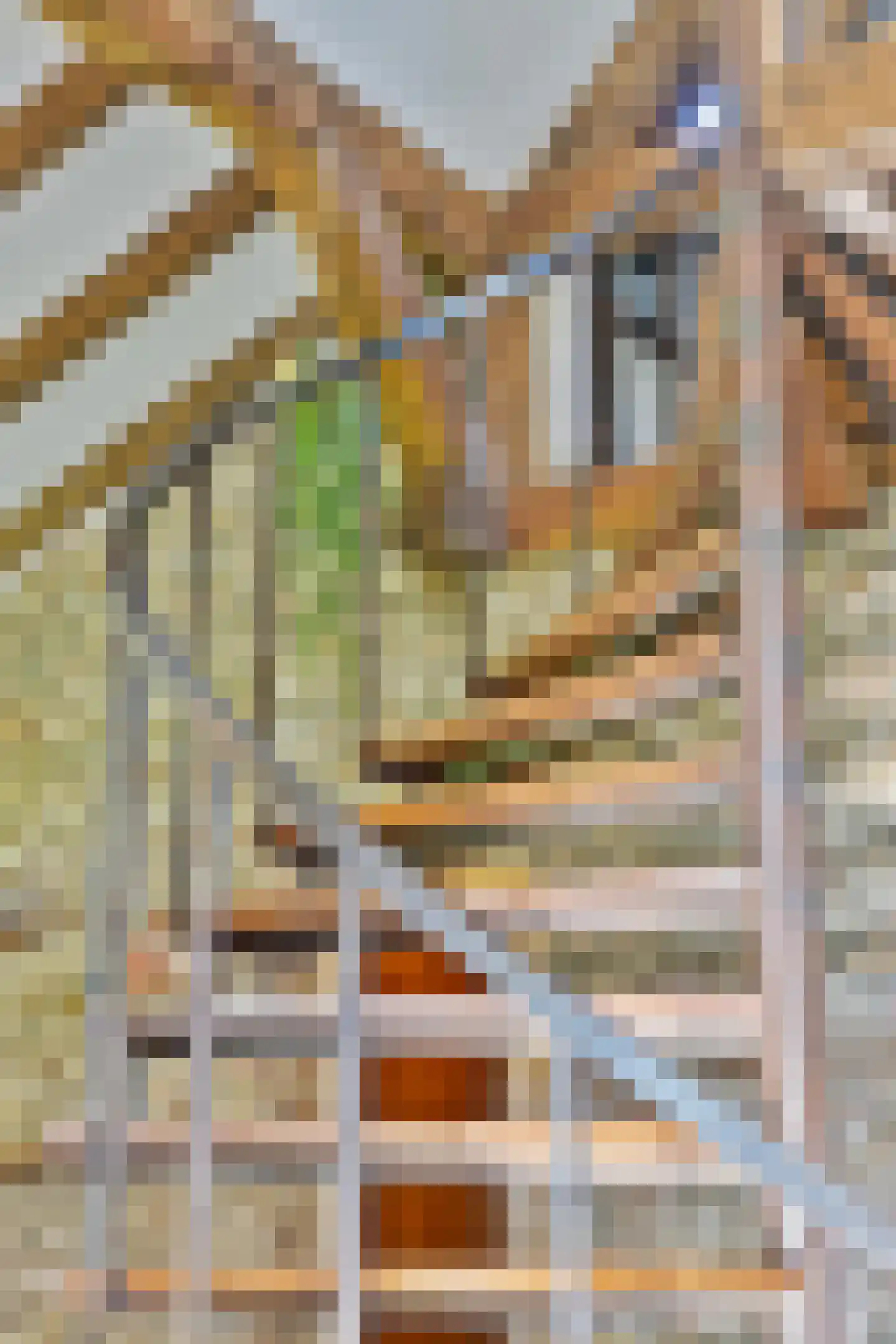 Oude Stee 11 Hoogerheide thumbnail 40