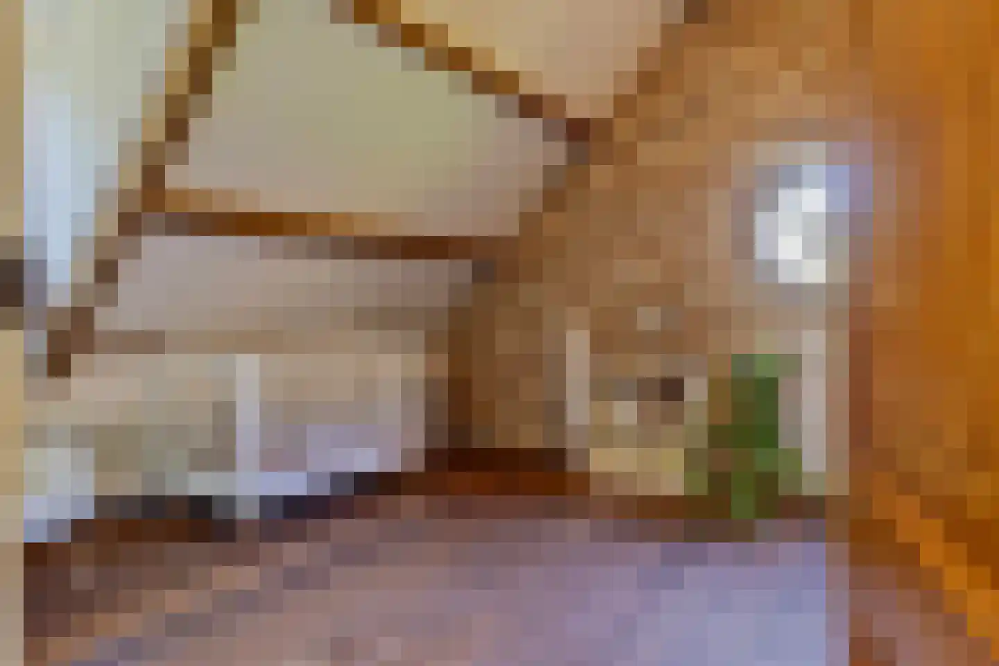 Oude Stee 11 Hoogerheide thumbnail 59