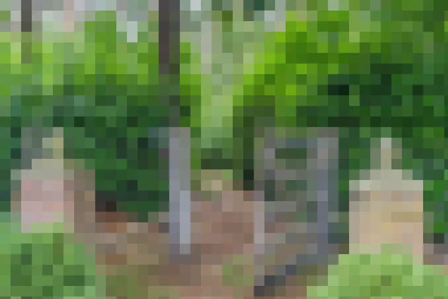 Oude Stee 11 Hoogerheide thumbnail 83