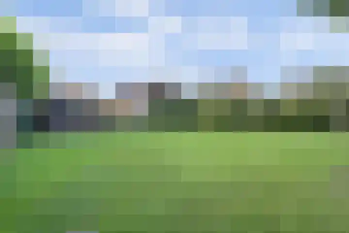 Oude Telgterweg 92 Ermelo thumbnail 4