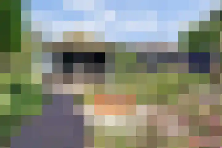 Oude Telgterweg 92 Ermelo thumbnail 41