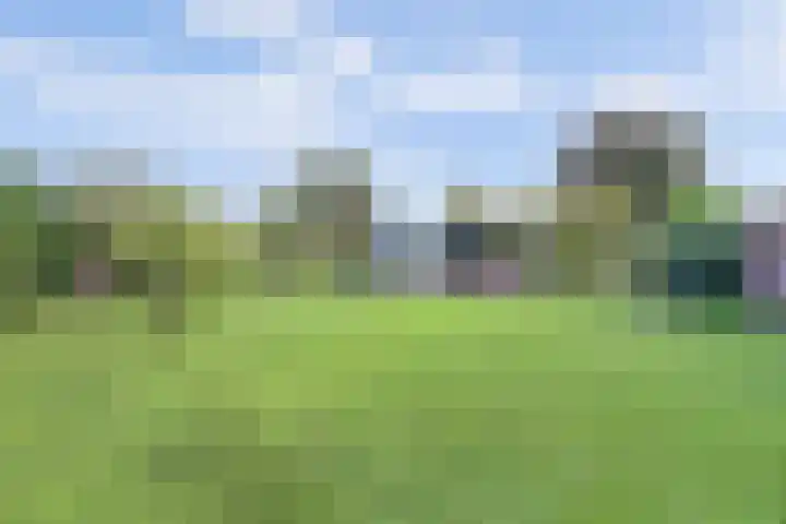 Oude Telgterweg 92 Ermelo thumbnail 44