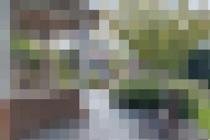Oude Telgterweg 92 Ermelo thumbnail 46