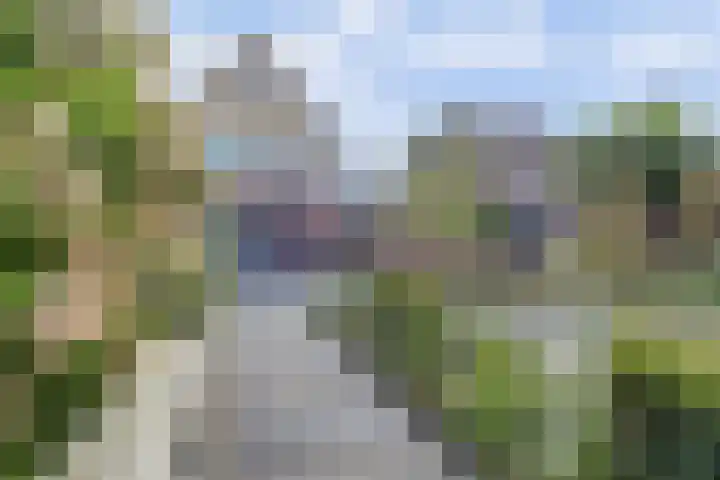 Oude Telgterweg 92 Ermelo thumbnail 48