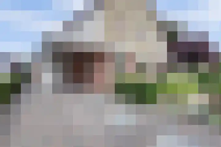 Oude Telgterweg 92 Ermelo thumbnail 5