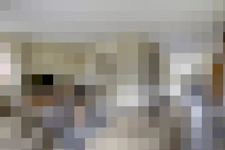Oude Telgterweg 92 Ermelo thumbnail 8