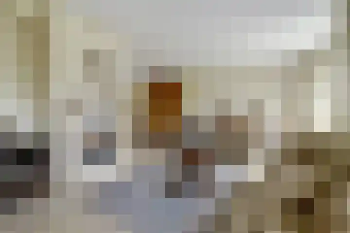 Oude Telgterweg 92 Ermelo thumbnail 9