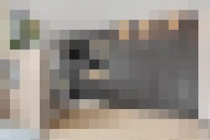Oude Tempellaan 58 Soesterberg thumbnail 23