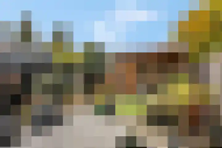 Oude Tempellaan 58 Soesterberg thumbnail 40