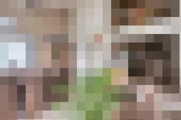 Oude Thornerweg 12 b Heel thumbnail 18