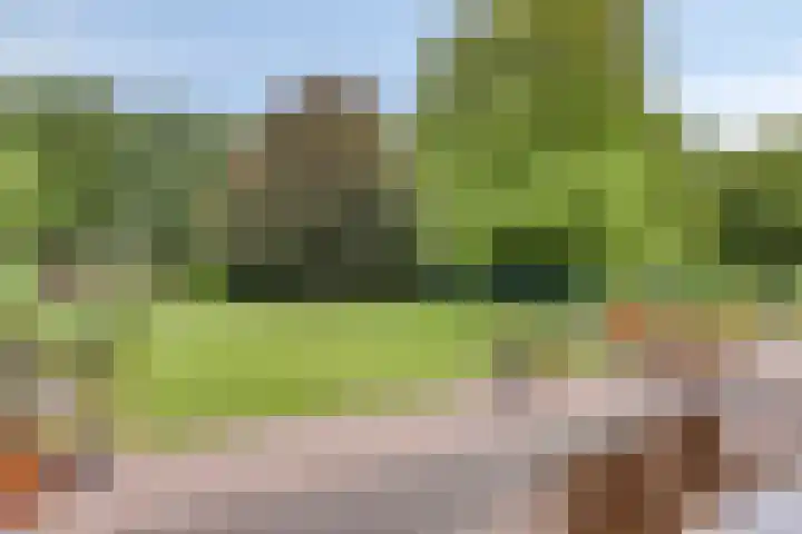 Oude Thornerweg 12 b Heel thumbnail 42