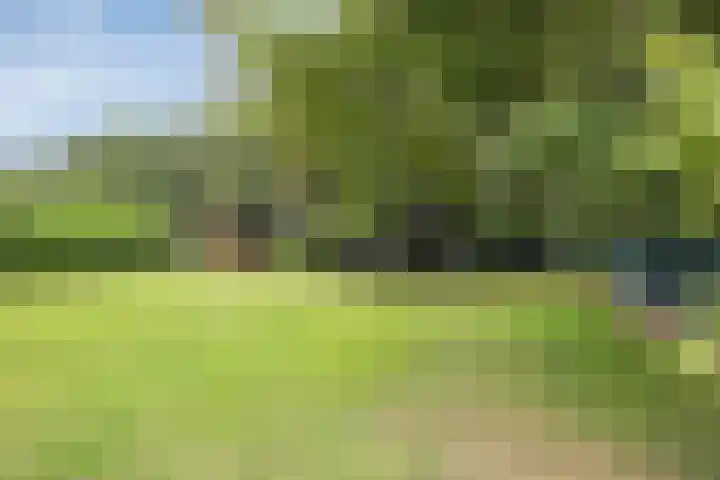 Oude Thornerweg 12 b Heel thumbnail 44