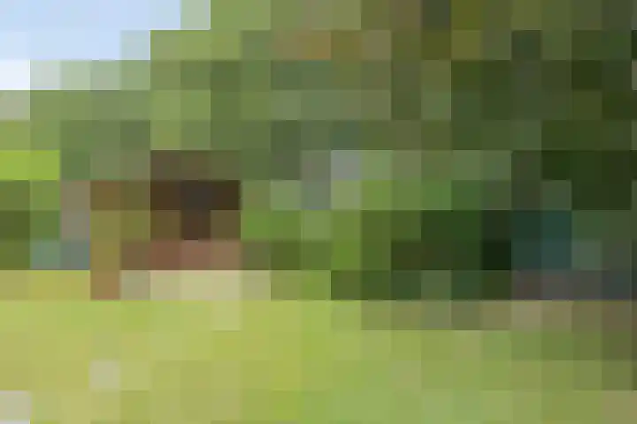 Oude Thornerweg 12 b Heel thumbnail 46