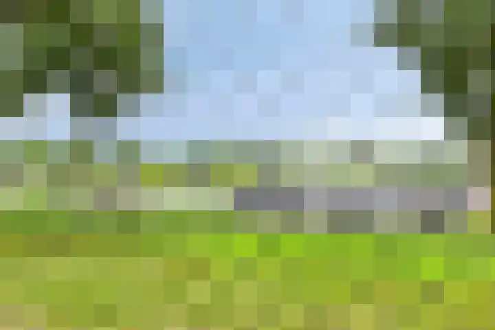 Oude Thornerweg 12 b Heel thumbnail 52