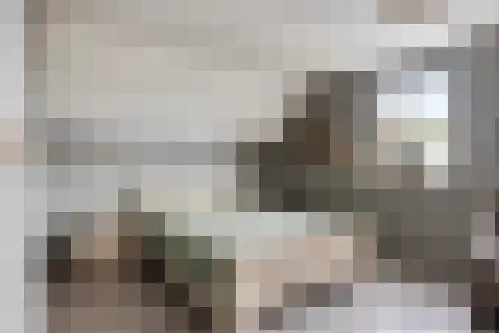 Oude Tilburgsebaan 14 a Riel thumbnail 18