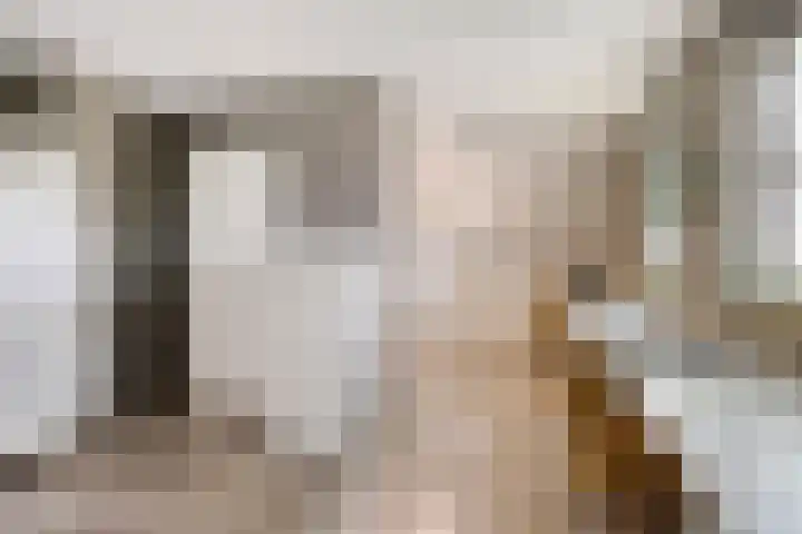 Oude Tilburgsebaan 14 a Riel thumbnail 23