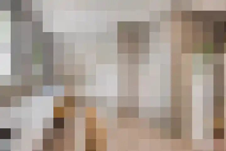 Oude Tilburgsebaan 14 a Riel thumbnail 25