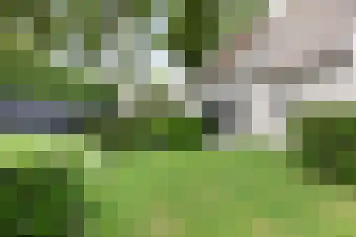 Oude Tilburgsebaan 14 a Riel thumbnail 30