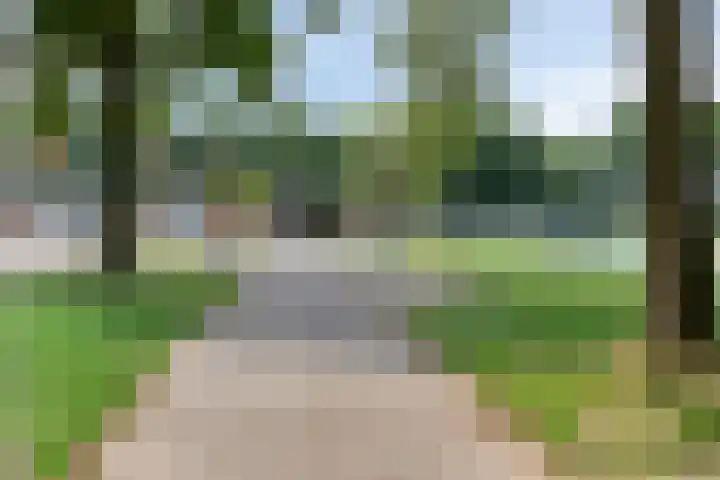 Oude Tilburgsebaan 14 a Riel thumbnail 39