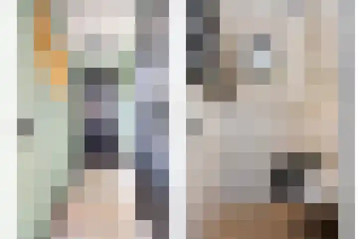 Oude Tilburgsebaan 14 a Riel thumbnail 4