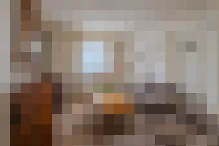 Oude Tolweg 5 Belfeld thumbnail 10