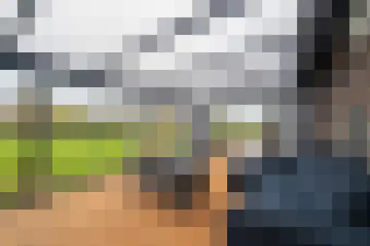 Oude Tolweg 5 Belfeld thumbnail 23
