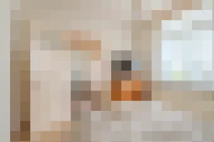 Oude Tolweg 5 Belfeld thumbnail 32