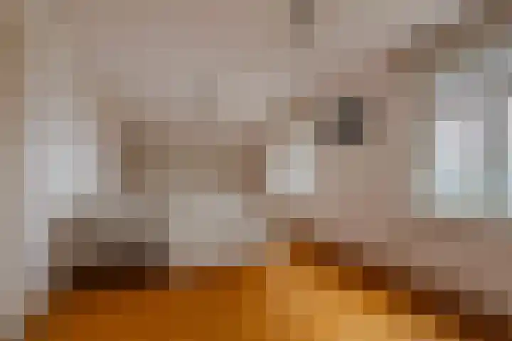 Oude Tolweg 5 Belfeld thumbnail 33