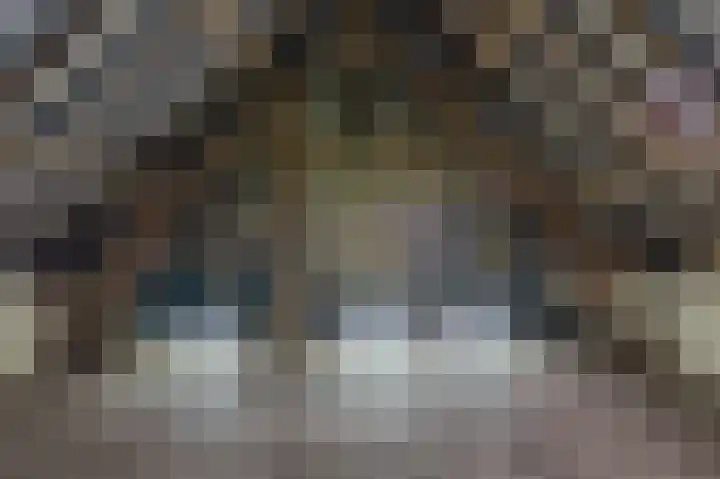 Oude Tolweg 5 Belfeld thumbnail 39
