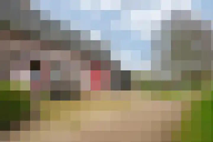 Oude Tolweg 5 Belfeld thumbnail 44