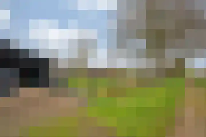 Oude Tolweg 5 Belfeld thumbnail 45