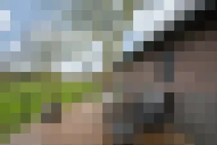 Oude Tolweg 5 Belfeld thumbnail 49