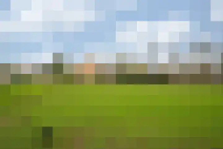 Oude Tolweg 5 Belfeld thumbnail 51