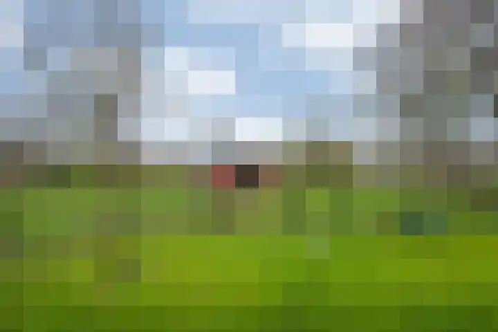Oude Tolweg 5 Belfeld thumbnail 52