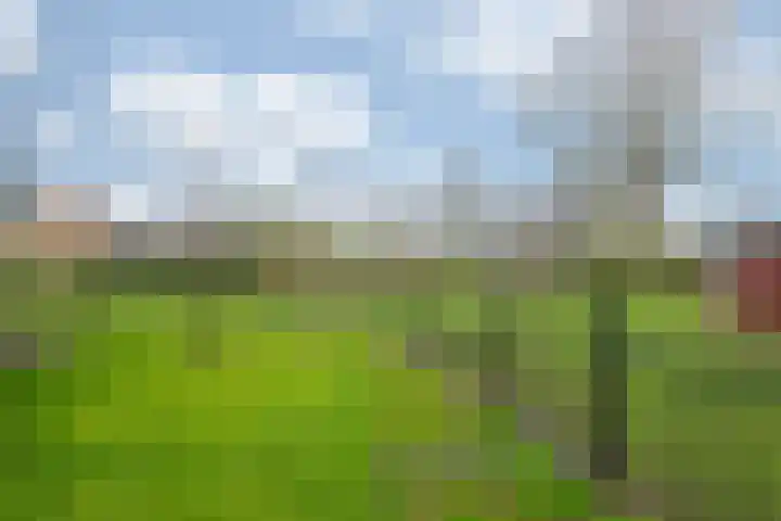 Oude Tolweg 5 Belfeld thumbnail 53