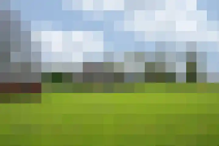 Oude Tolweg 5 Belfeld thumbnail 54