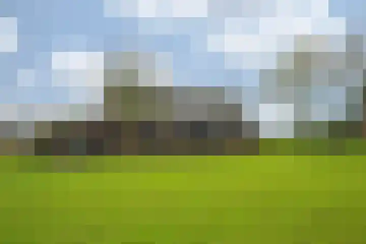 Oude Tolweg 5 Belfeld thumbnail 56